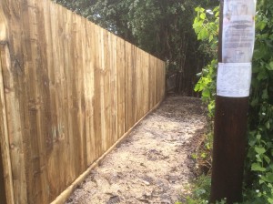 Feather edge fencing