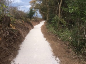 Limestone path