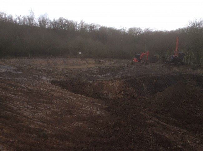 Wildlife pond creation